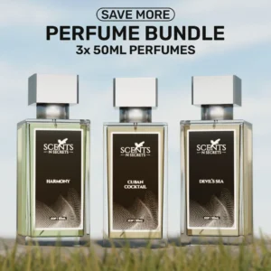 Top Selling Perfume Bundle - MEN